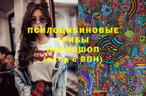 ГАЛЛЮЦИНОГЕННЫЕ ГРИБЫ Абдулино
