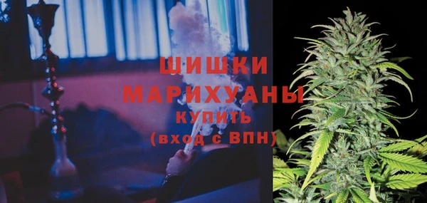 ГАЛЛЮЦИНОГЕННЫЕ ГРИБЫ Абдулино