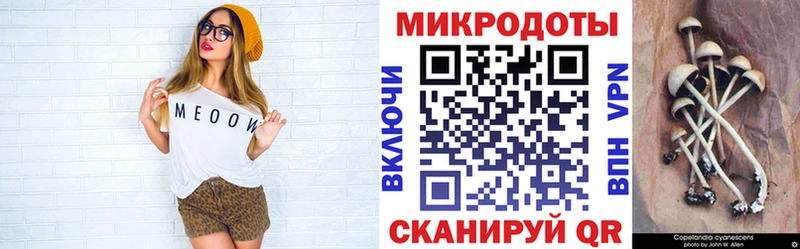где продают наркотики  Шарыпово  Псилоцибиновые грибы Psilocybine cubensis 